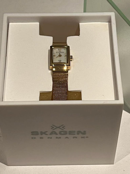 Skagen Watch 430SGS - Pre-loved in original box